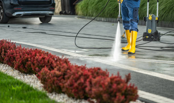 Best Vinyl Siding Pressure Washing in Elbow Lake, MN